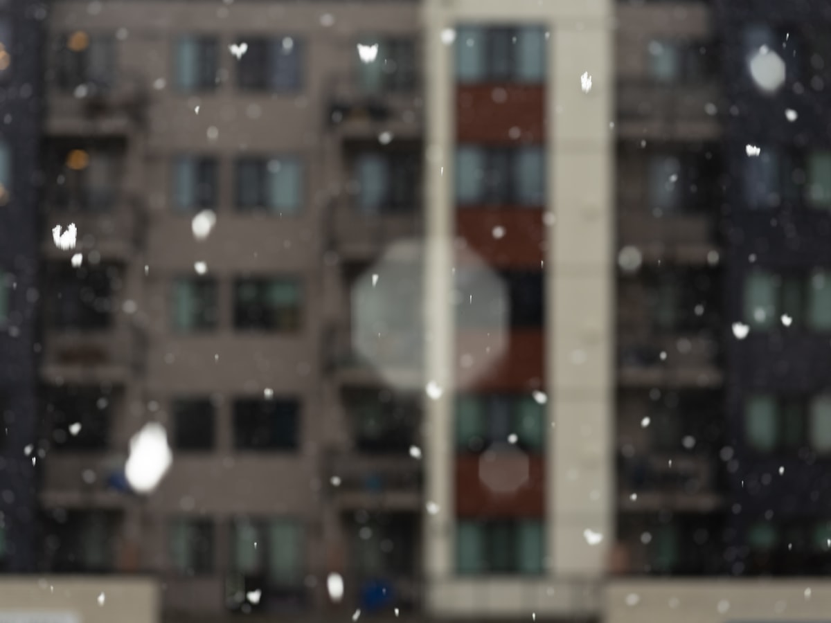 월세에 부가세 10% 별도 - 계약 전 확인해야 할 서류와 건물을 살펴보는 모습